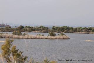 Saline di Priolo